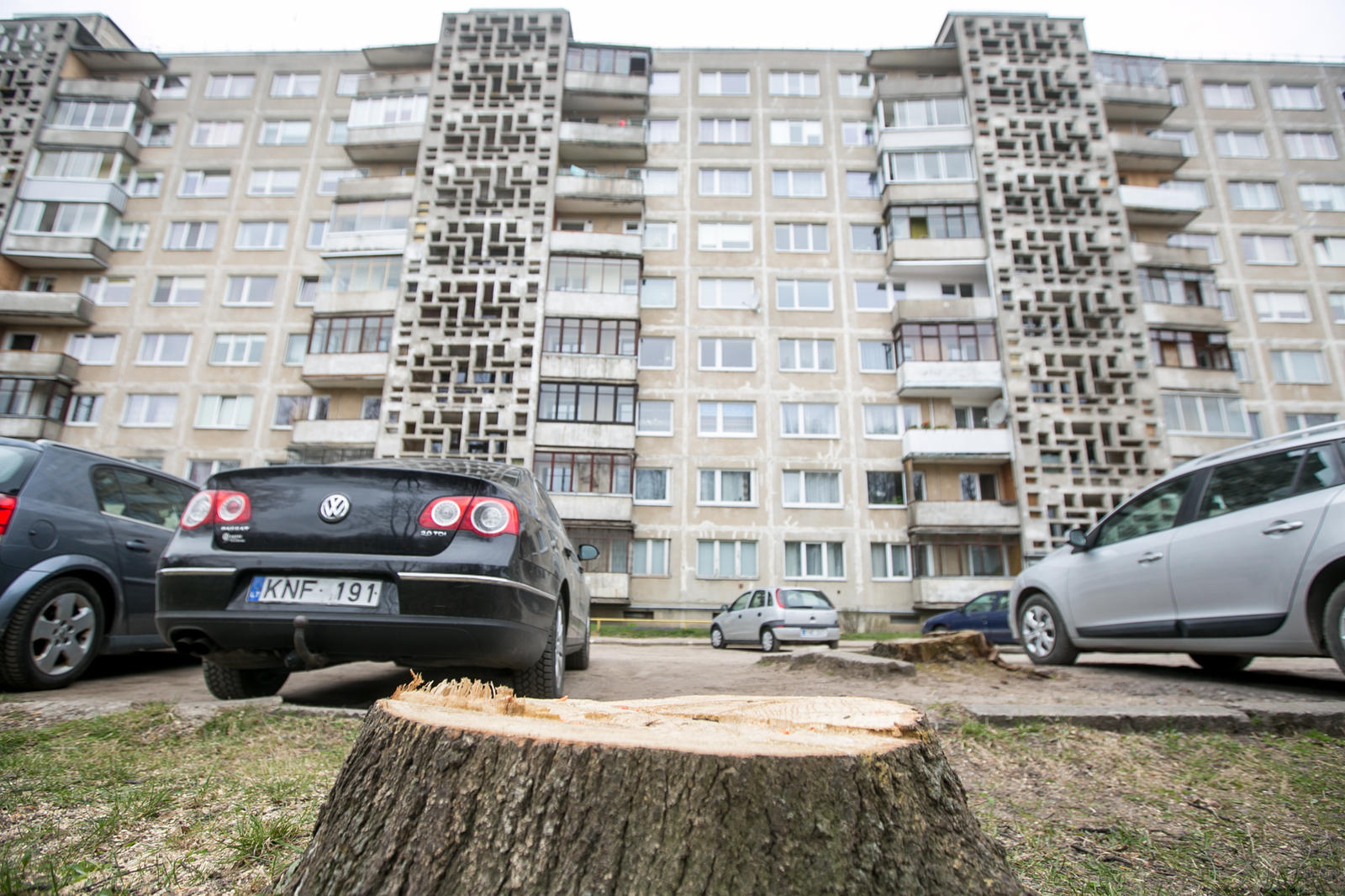 Konfliktas Su Namo Bendrijos Pirmininke – Dėl Medžių Ir Benamių ...